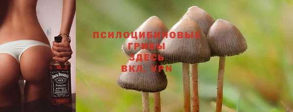 мдпв Покровск
