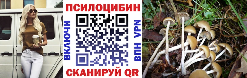 Галлюциногенные грибы MAGIC MUSHROOMS  Кодинск 